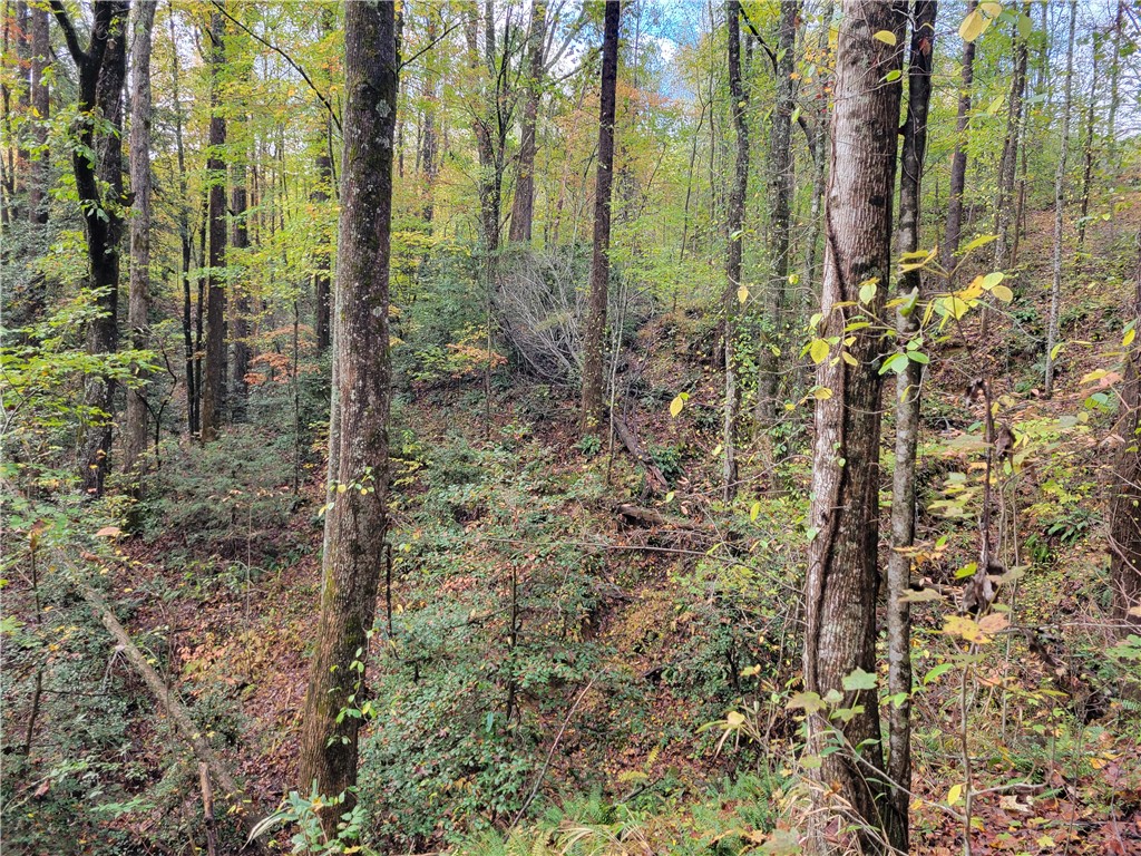 173 Ivester Road Long Creek, SC 29658 - Photo 11 of 16 Gallery Image 11