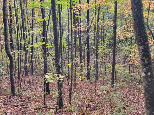 $149,000 | 173 Ivester Road, Long Creek, SC 29658