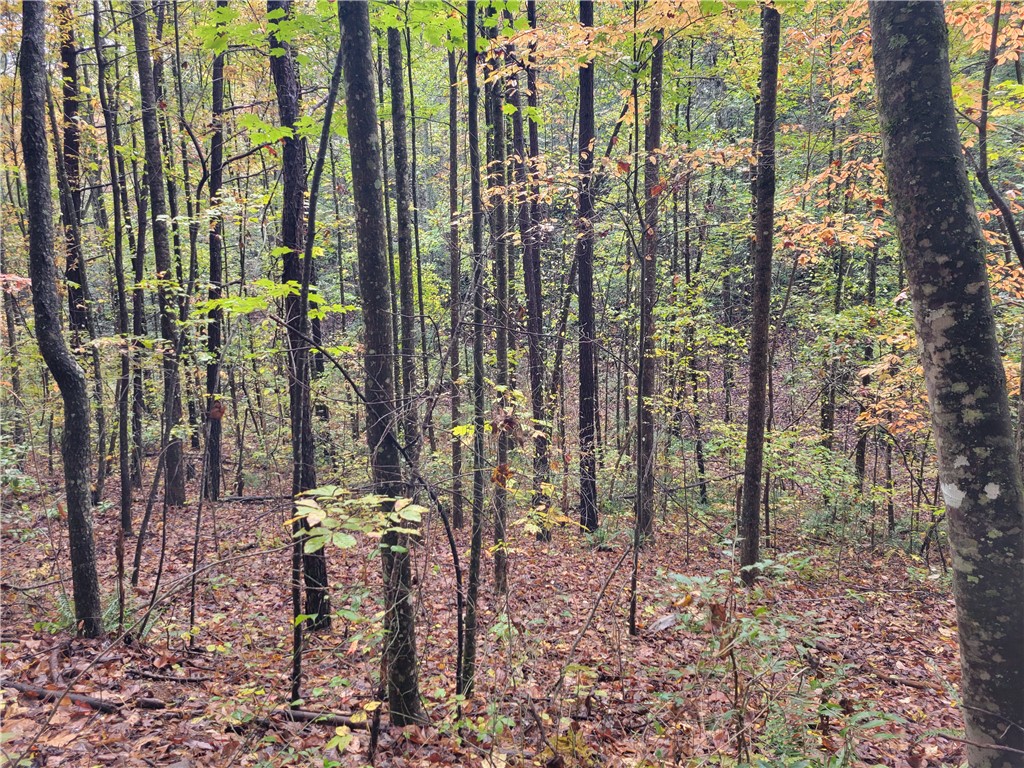 173 Ivester Road Long Creek, SC 29658 - Photo 12 of 16 Gallery Image 12