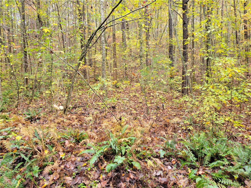 173 Ivester Road Long Creek, SC 29658 - Photo 13 of 16 Gallery Image 13