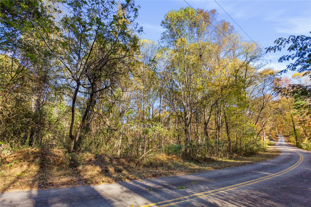 173 Ivester Road Long Creek, SC 29658 - Photo 16 of 16