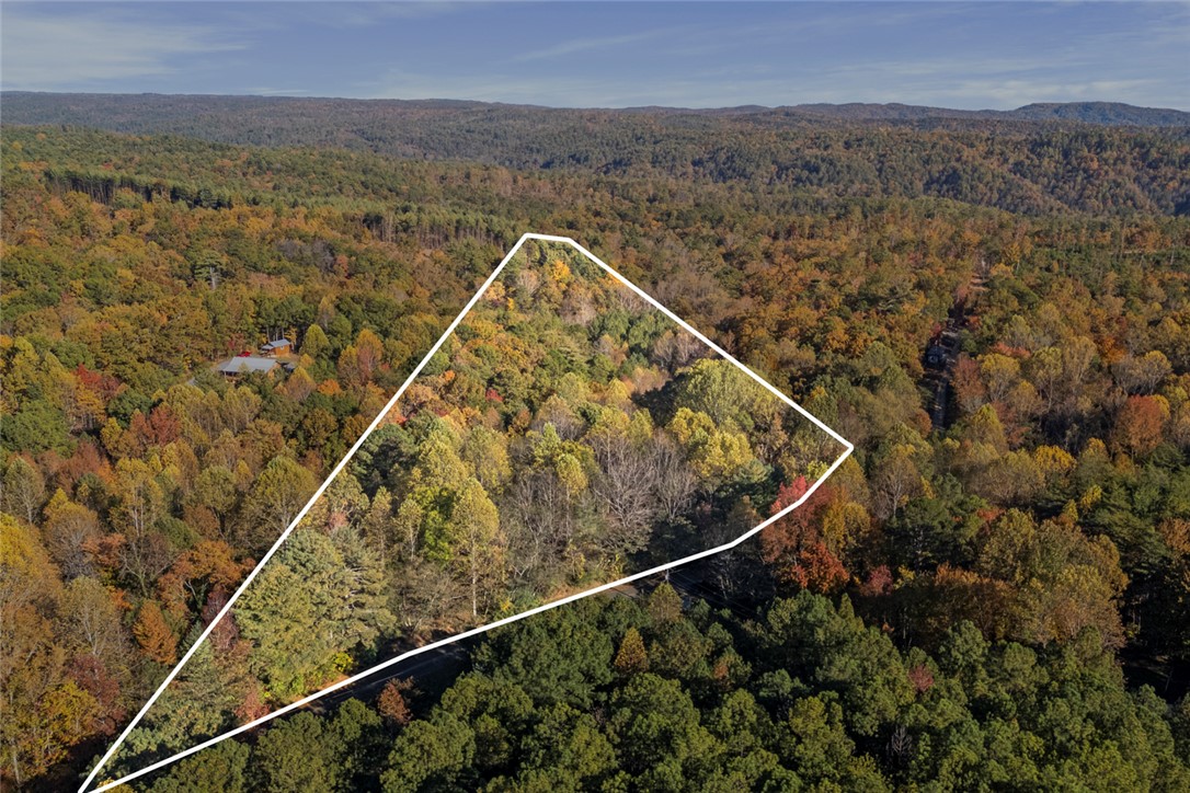 173 Ivester Road Long Creek, SC 29658 - Photo 2 of 16