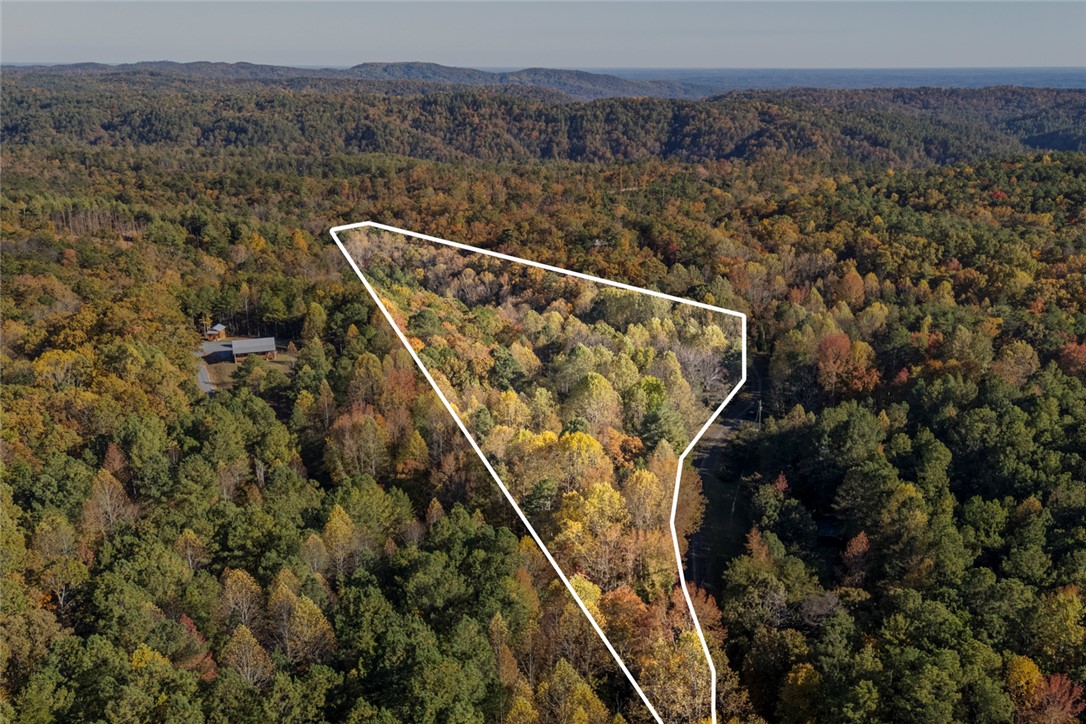 173 Ivester Road Long Creek, SC 29658 - Photo 5 of 16