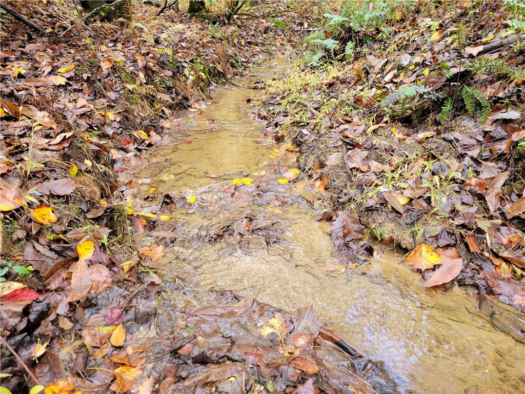 173 Ivester Road Long Creek, SC 29658 - Photo 7 of 16