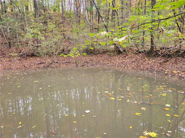 $149,000 | 173 Ivester Road, Long Creek, SC 29658