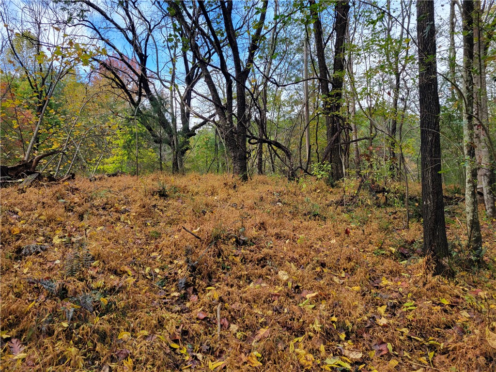 173 Ivester Road Long Creek, SC 29658 - Photo 10 of 16