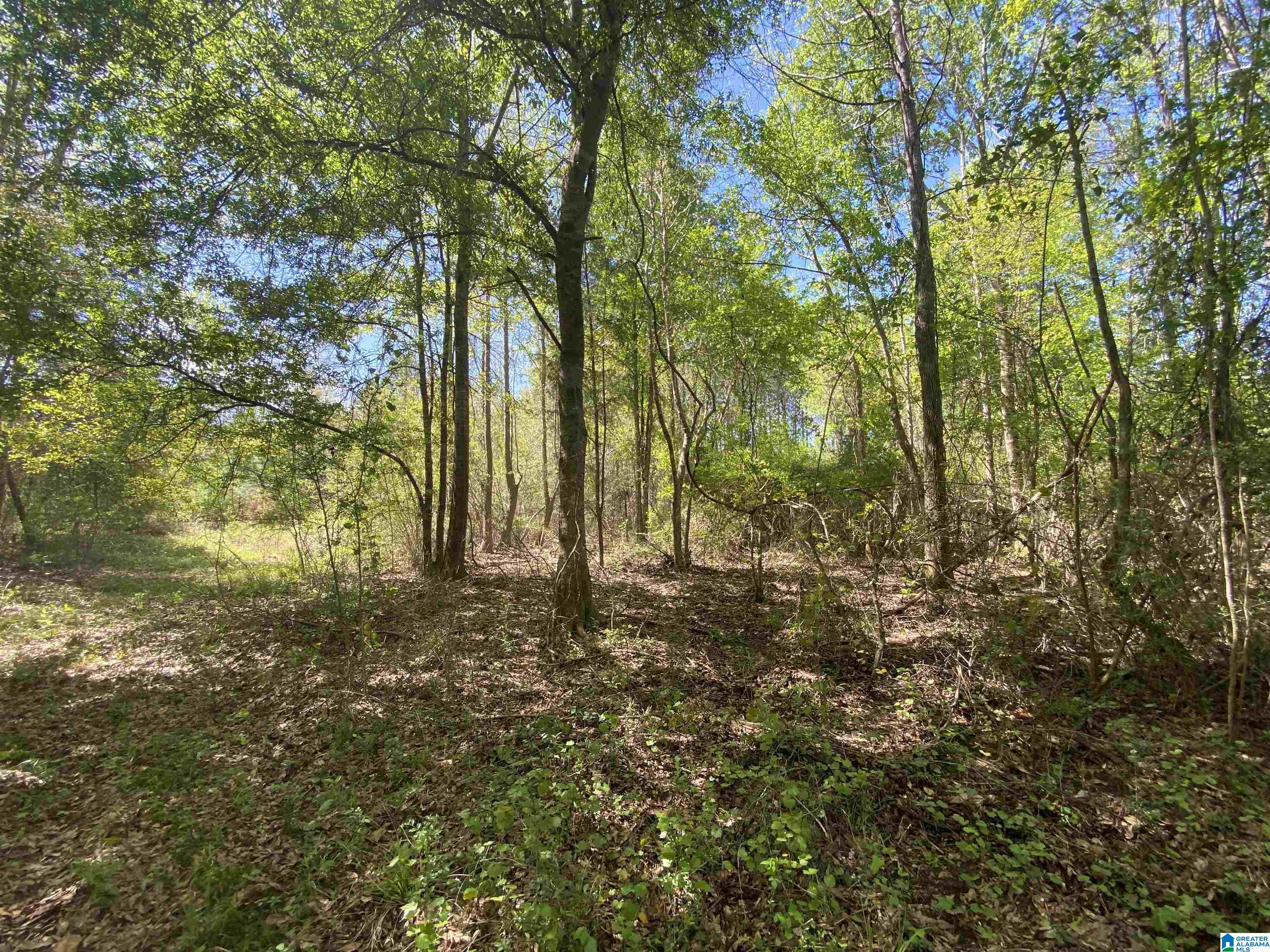 0 Richardson Road Brewton, AL 36426 - Photo 17 of 47