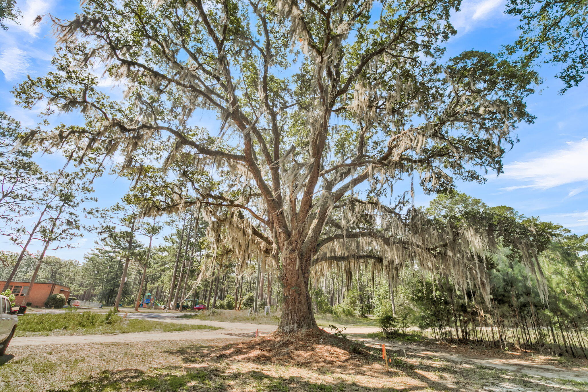709 Dolph Lane McClellanville, SC 29458 - Photo 26 of 28 CREM - 709 Dolph Ln-34