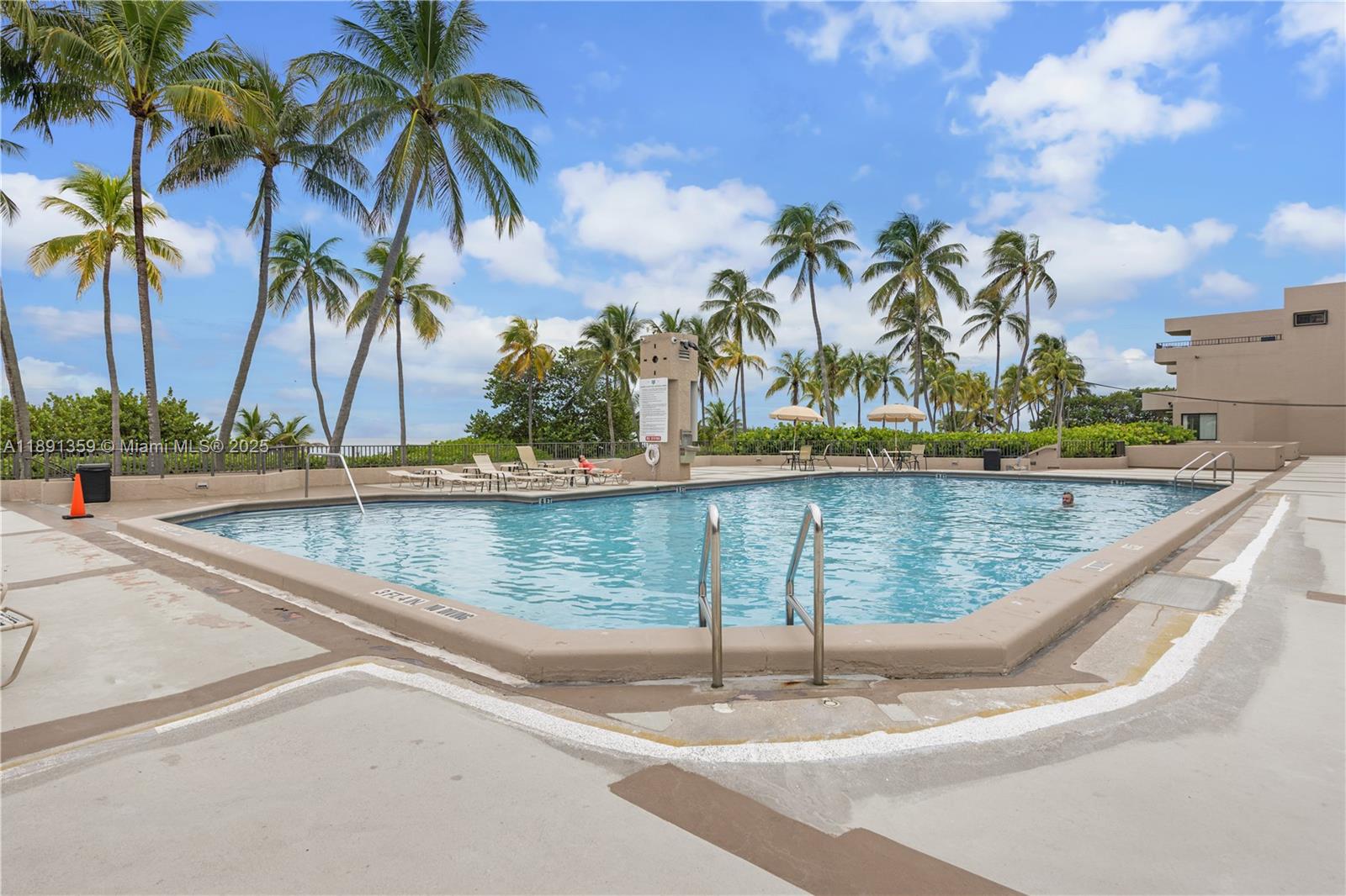 101 Crandon Boulevard, Unit 379 Key Biscayne, FL 33149 - Photo 23 of 37 a view of a swimming pool with a bench and palm trees