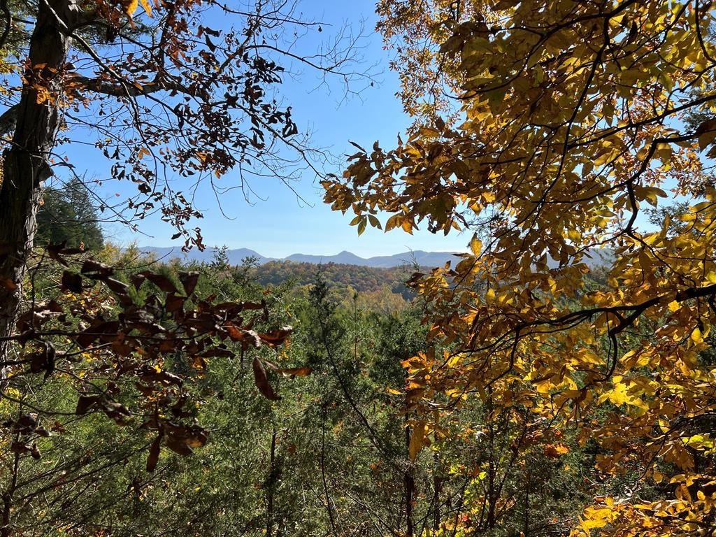 0 Manning Hollow Road Sevierville, TN 37876 - Photo 2 of 14