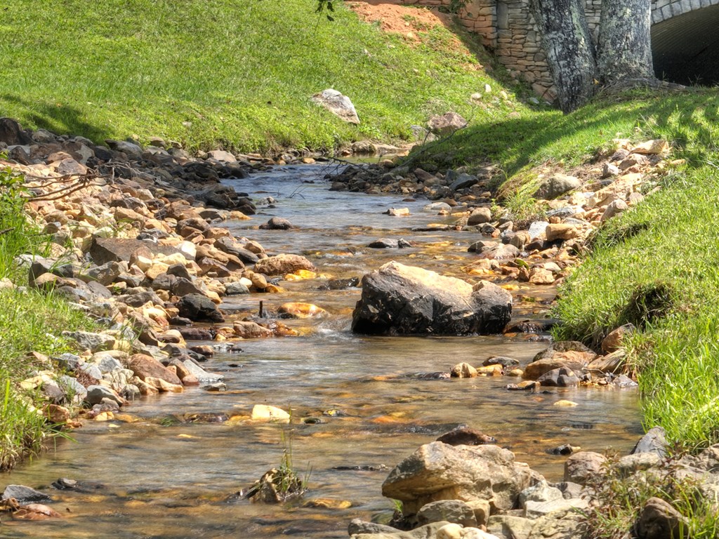 280 Star Creek Crossing Morganton, GA 30560 - Photo 11 of 100