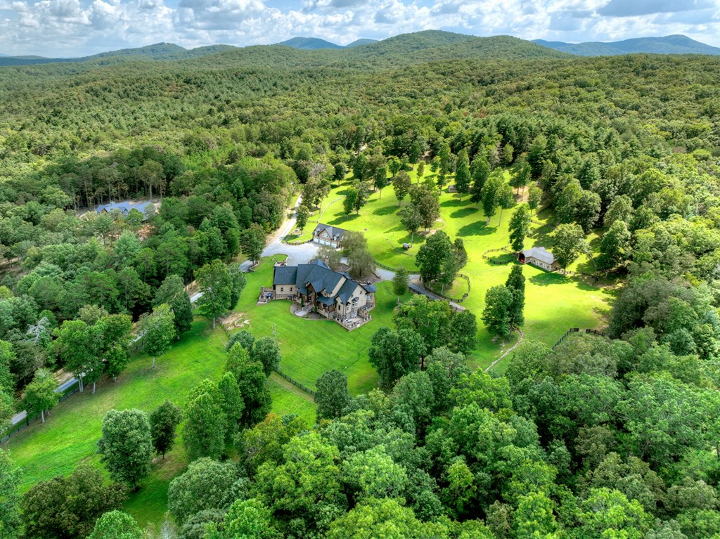 280 Star Creek Crossing Morganton, GA 30560 - Photo 85 of 100 a view of a lush green forest with trees and houses