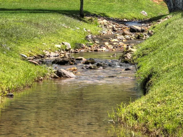 a view of a dining room with furniture large windows and wooden floor
