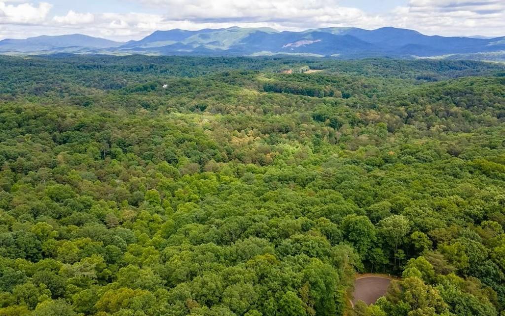 0 Abbott Mill Road Ellijay, GA 30540 - Photo 2 of 6