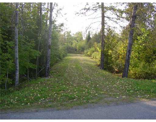 Lot 23 East A E Ridge Road Houlton, ME 04730 - Photo 4 of 6 Other. Driveway