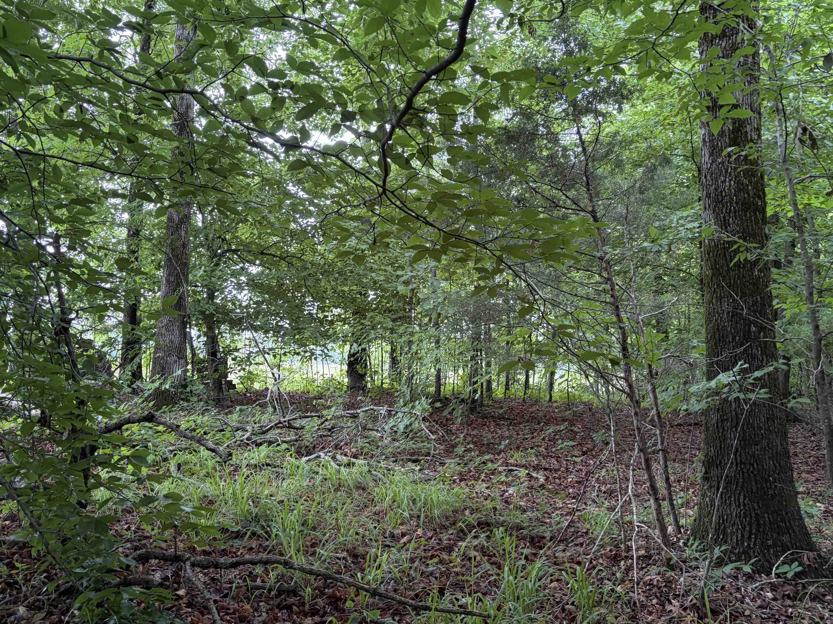 745 Foster Road Adamsville, TN 38310 - Photo 18 of 25 Gallery Image 18