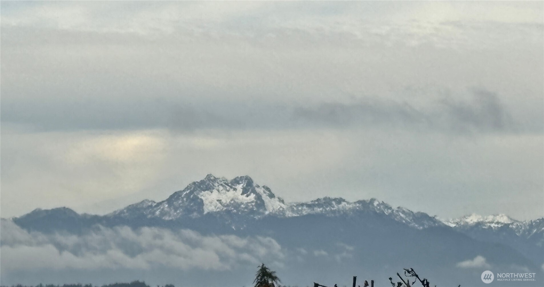 2821 Sanders Avenue Bremerton, WA 98310 - Photo 2 of 40 a view of water heater in a field