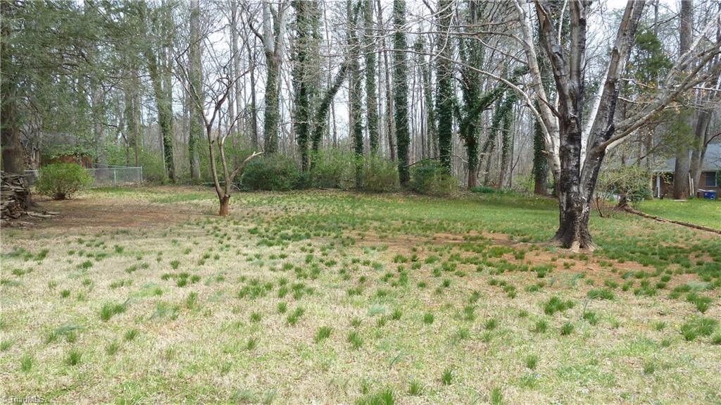 2107 Independence Road Winston-Salem, NC 27106 - Photo 19 of 20 Back Yard