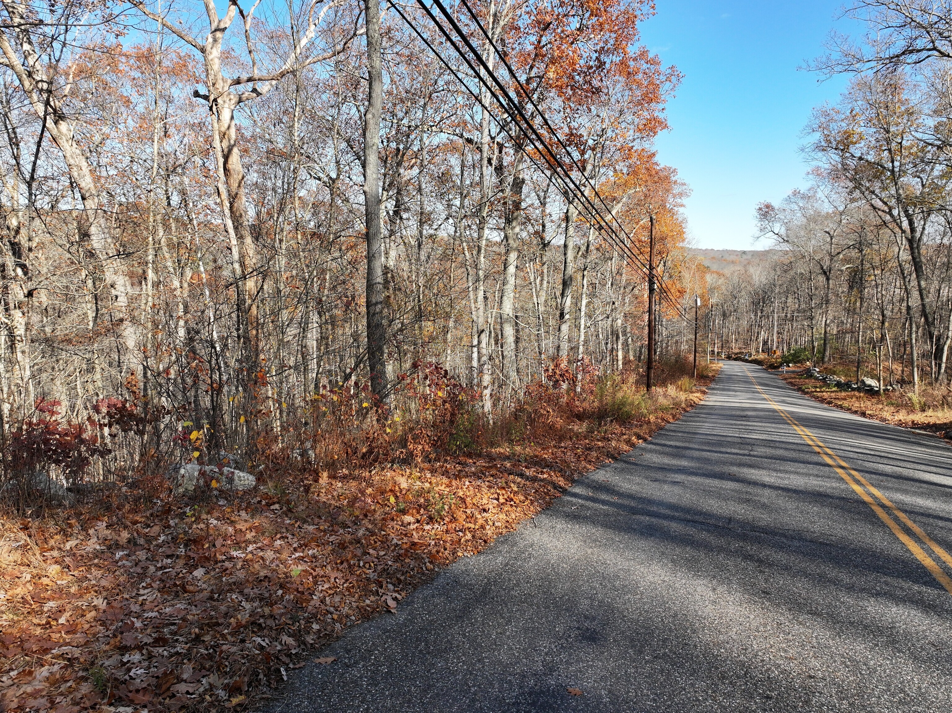 a view of road with trees