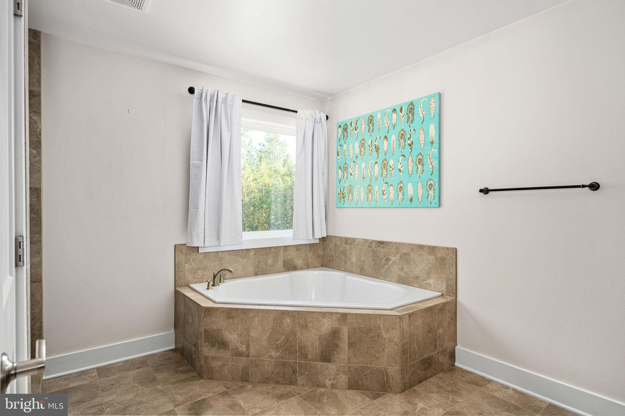 13201 Brooke Ridge Lane Spotsylvania, VA 22551 - Photo 53 of 90