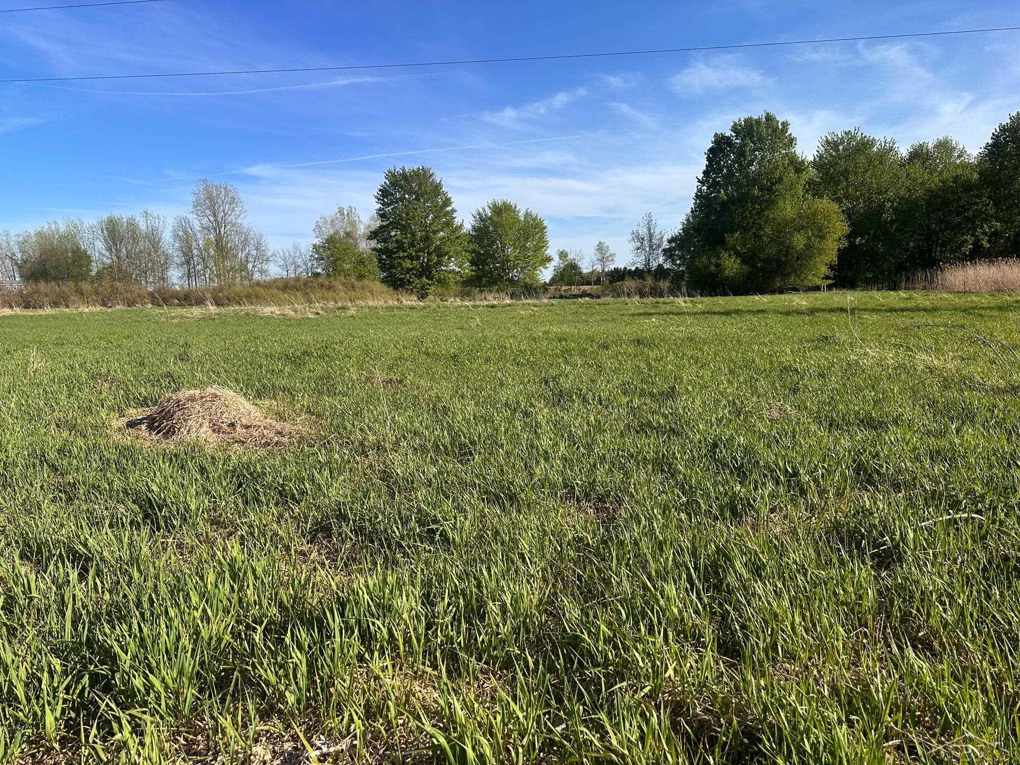 9999 Barnes Road Mayville, MI 48744 - Photo 5 of 6