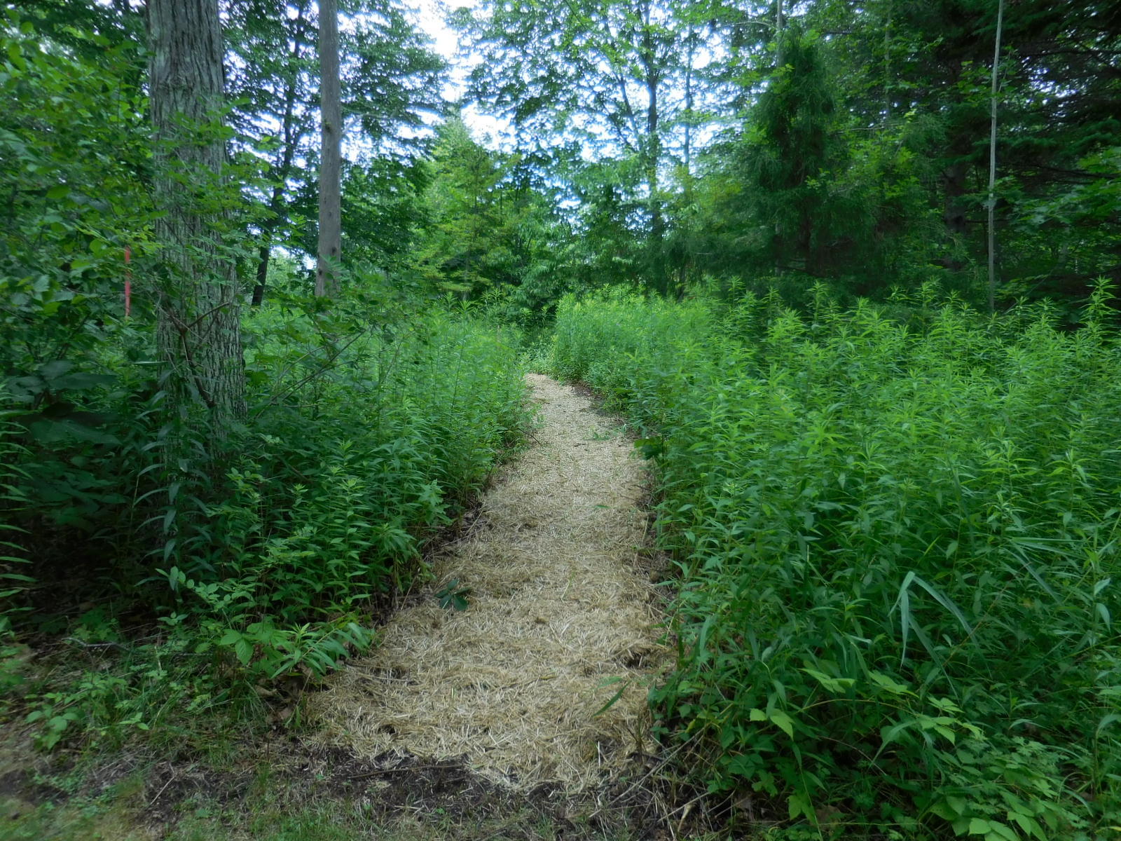 7 Jocelyn Road Scarborough, ME 04074 - Photo 5 of 8 7 Jocelyn Path