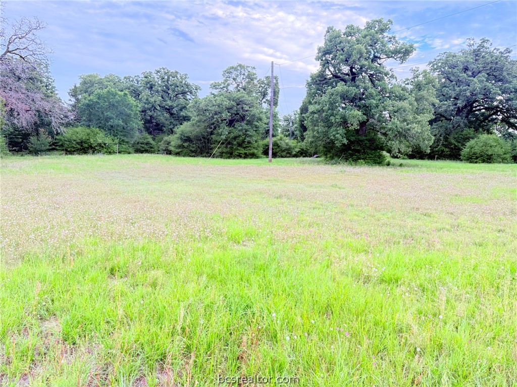 Tbd Wannabe Road Bryan, TX 77808 - Photo 7 of 25 a view of outdoor space and yard