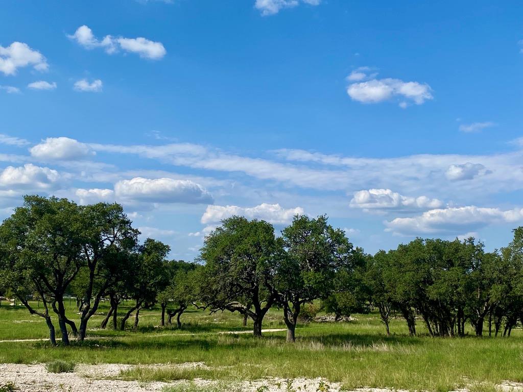 149 Crepe Myrtle Court Comfort, TX 78013 - Photo 1 of 1 Main View