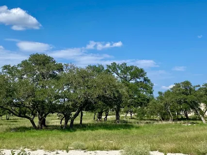 $299,000 | 149 Crepe Myrtle Court, Comfort, TX 78013
