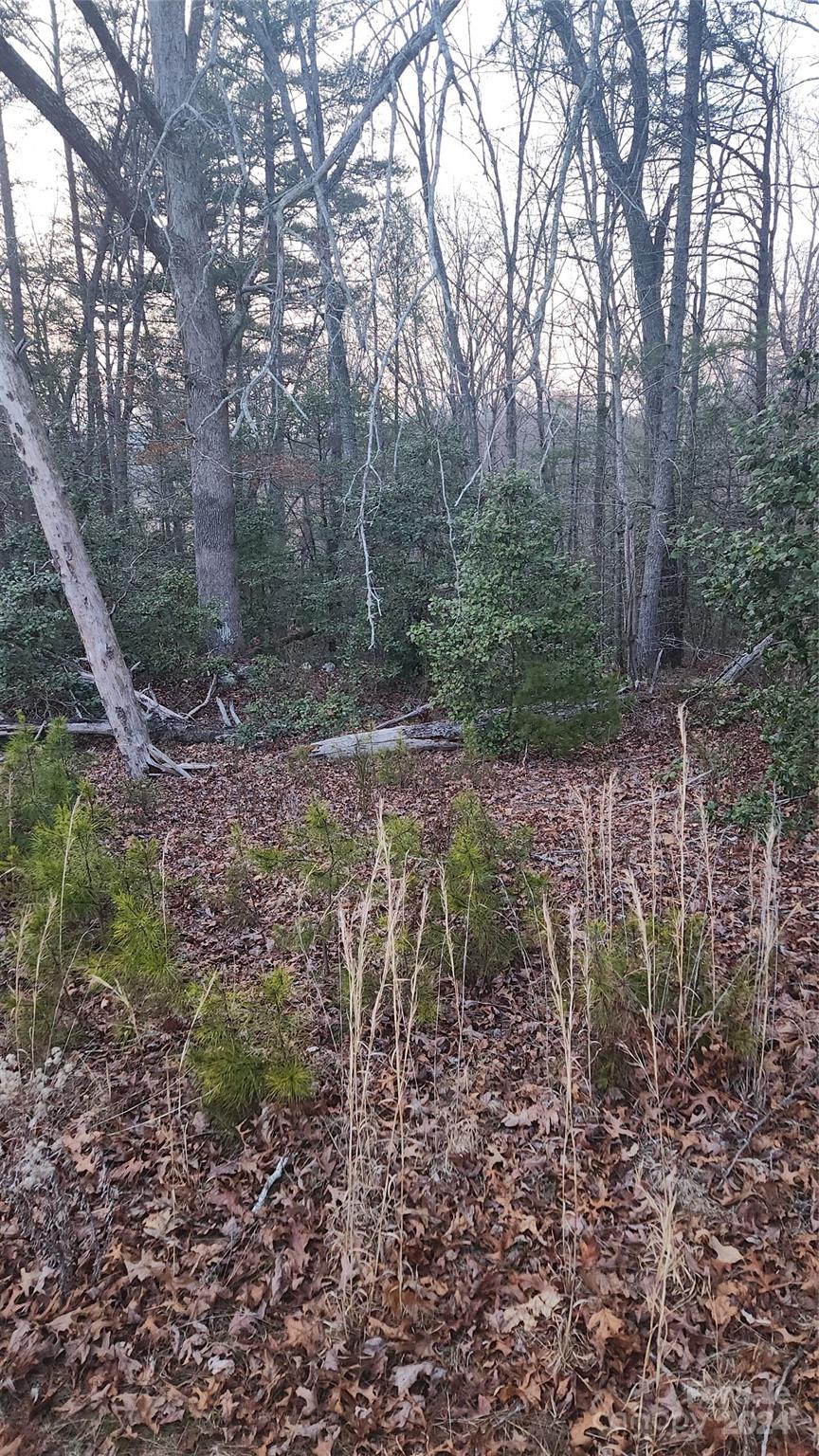 Tbd Burns Road Granite Falls, NC 28630 - Photo 11 of 11 Gallery Image 11