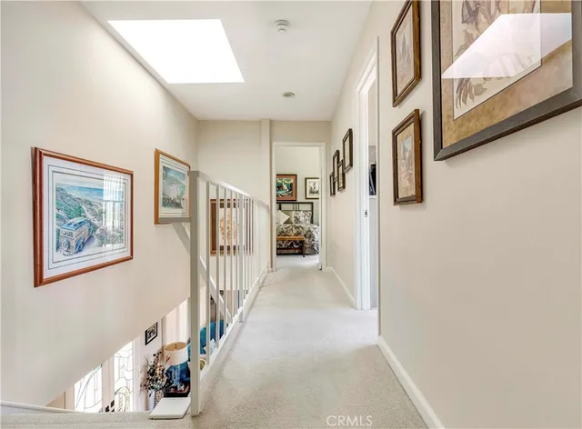 a view of a garden with pathway