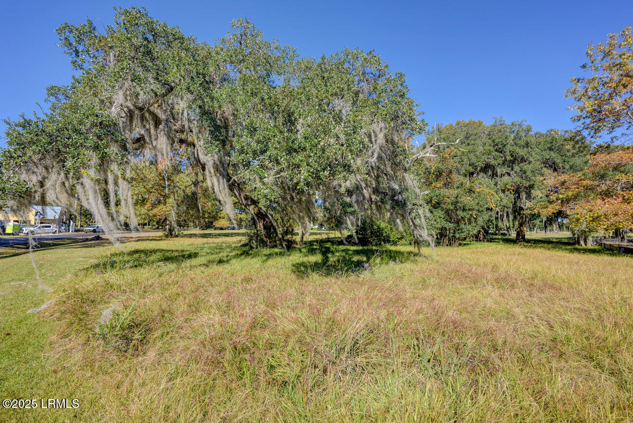 173 Oldfield Way Bluffton, SC 29909 - Photo 11 of 14 173OldfieldWayWR_MoonlightProductions-30