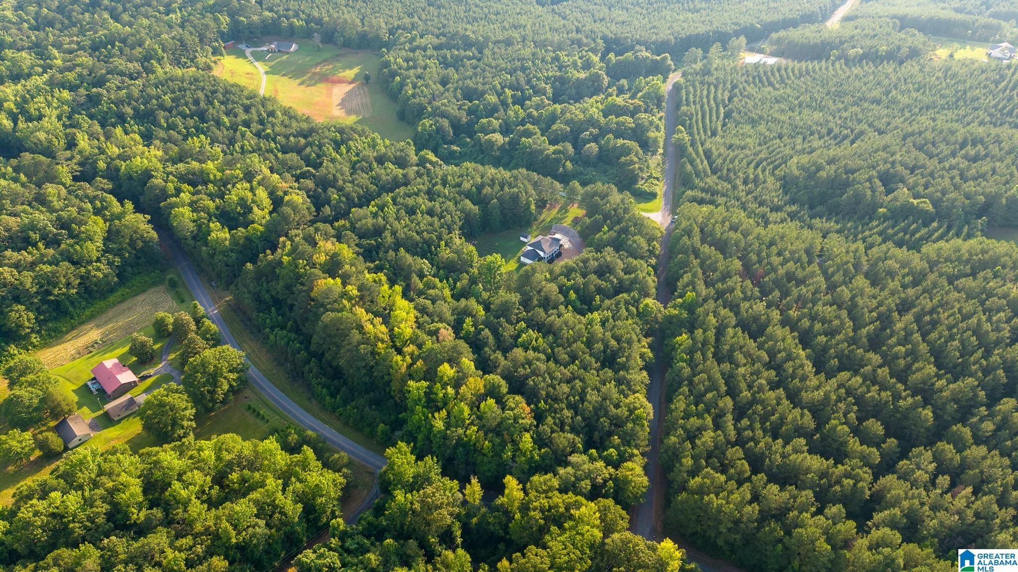 1250 Crossover Road Cropwell, AL 35054 - Photo 65 of 66