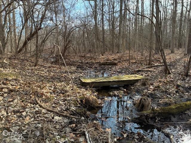 0 Marshall Road Ann Arbor, MI 48104 - Photo 17 of 17 Gallery Image 17