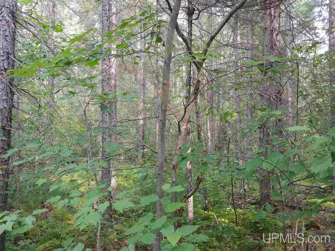 42-acres 42-acres Co Road Ishpeming, MI 49849 - Photo 3 of 16