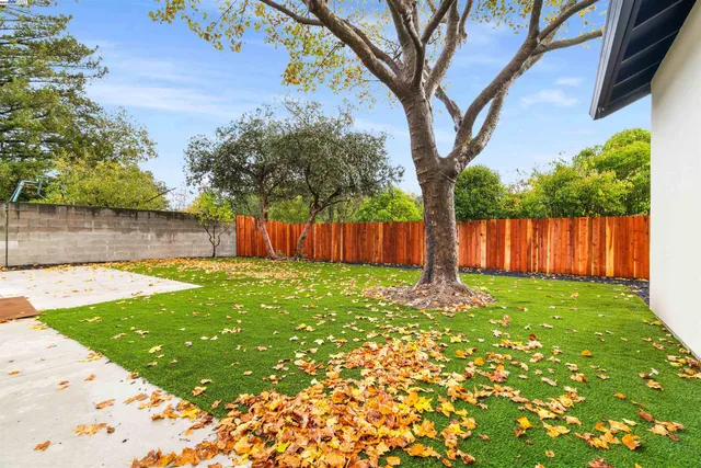 a view of a backyard with large tree and wooden fence