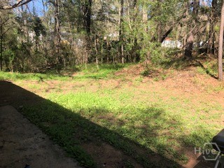 170 Ramble Hills Way Athens, GA 30606 - Photo 30 of 30