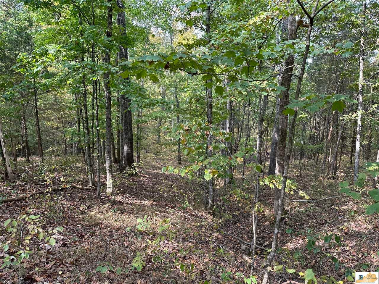 8923 Greensburg Road Edmonton, KY 42129 - Photo 15 of 29 Gallery Image 15