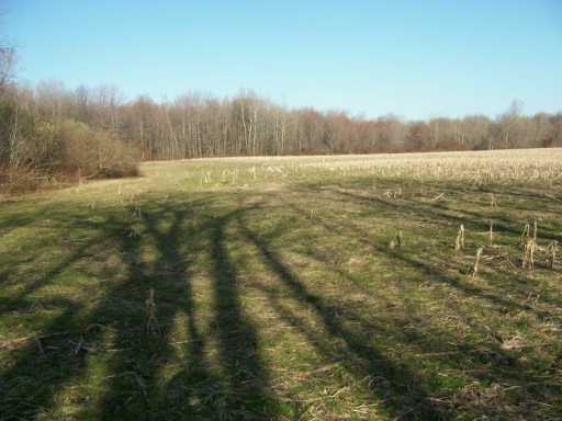 0 Bowmantown Road Cranesville, PA 16410 - Photo 4 of 5 Land.