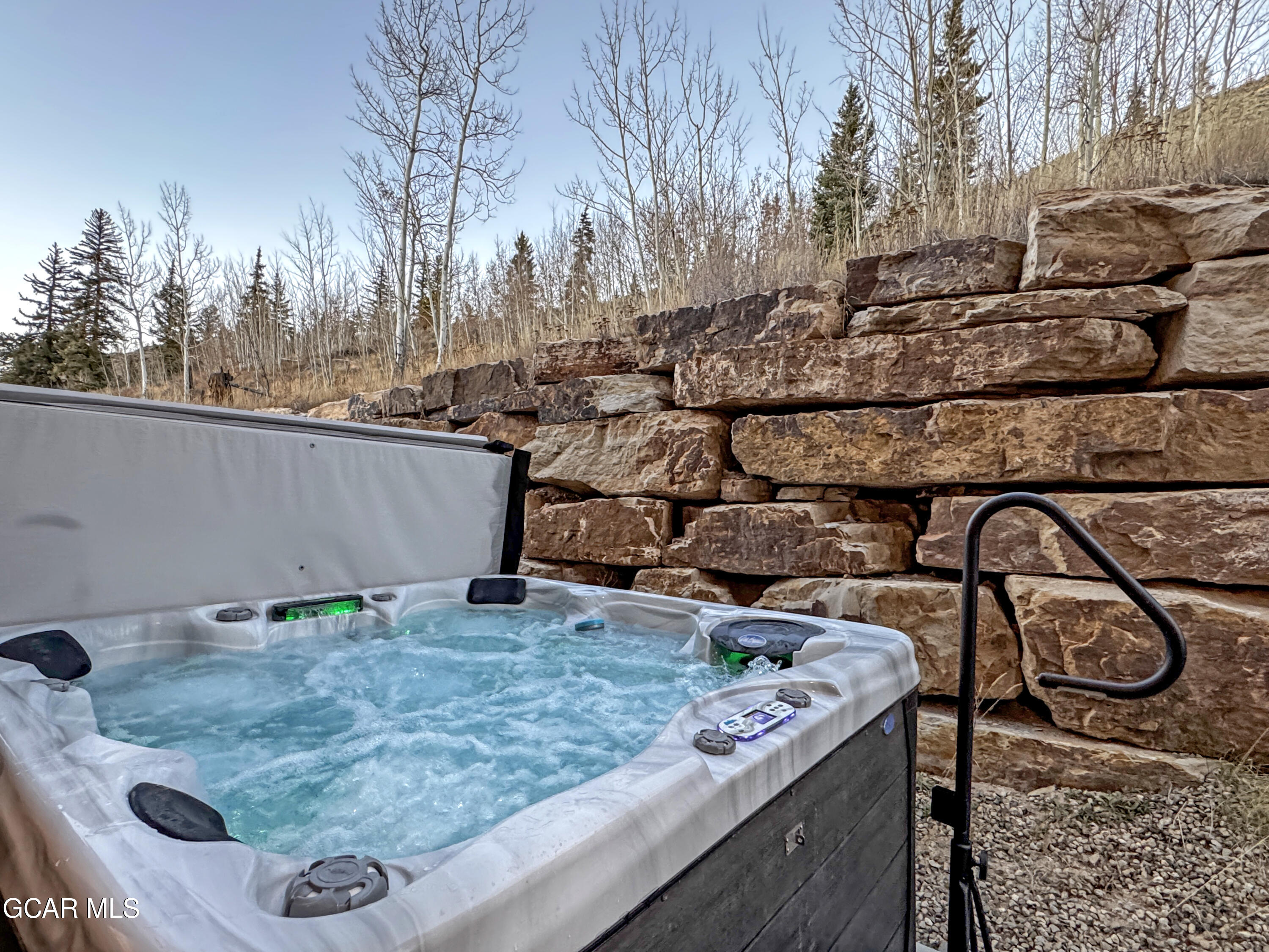 166 Homestead Loop Fraser, CO 80442 - Photo 30 of 56 a view of a backyard