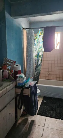 a room with furniture and a potted plant