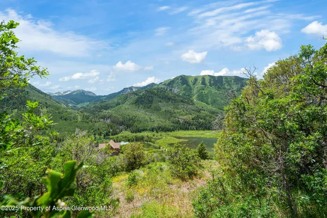 a view of a bunch of trees and bushes