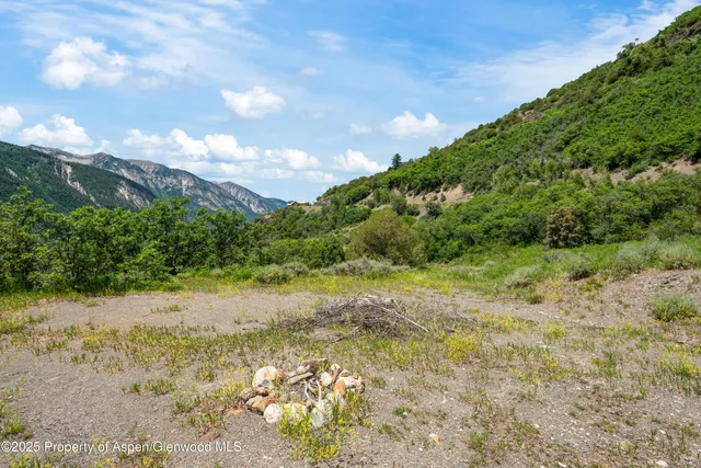 a view of a yard with plants and wooden fence