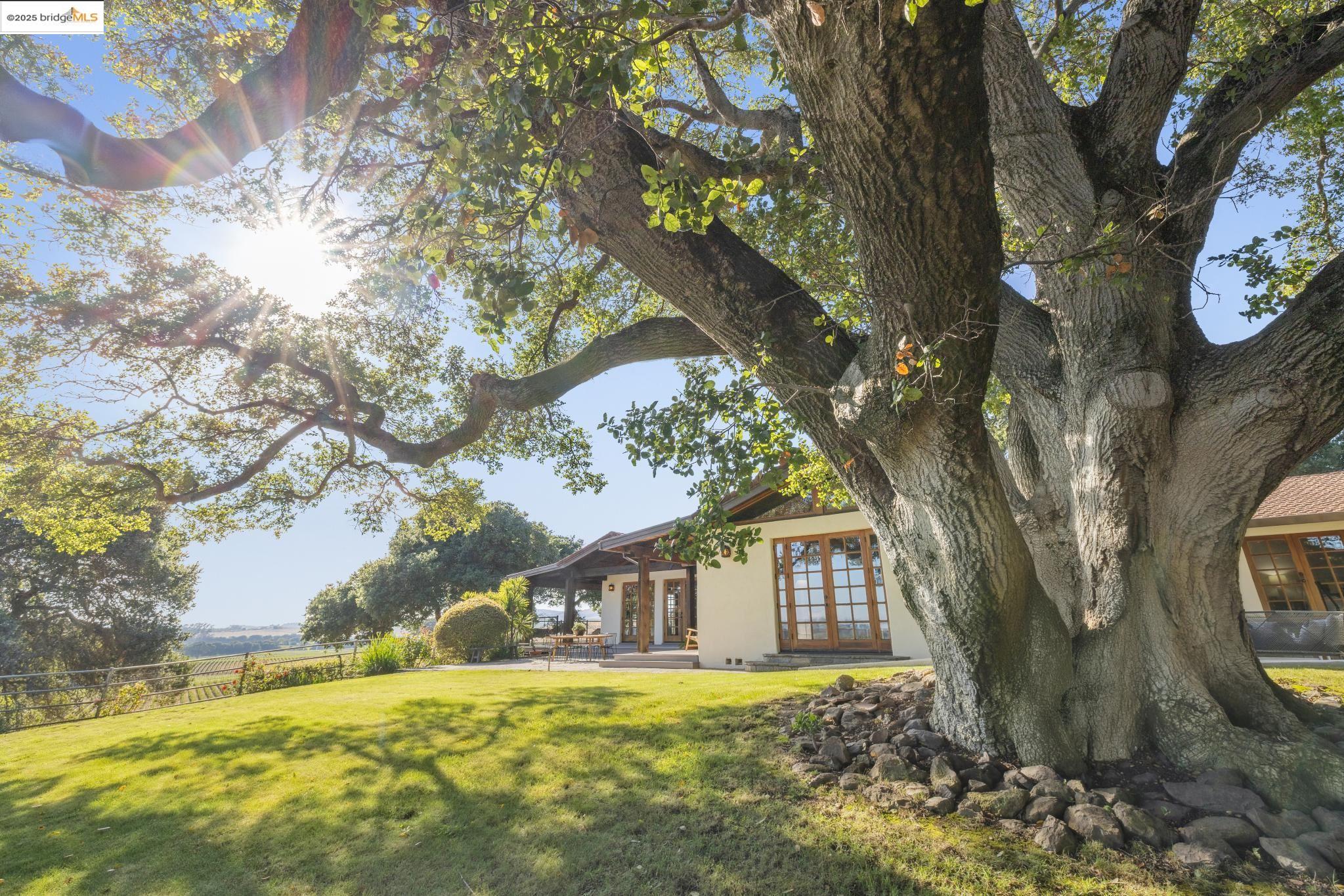 1531 Foster Road Napa, CA 94558 - Photo 44 of 57