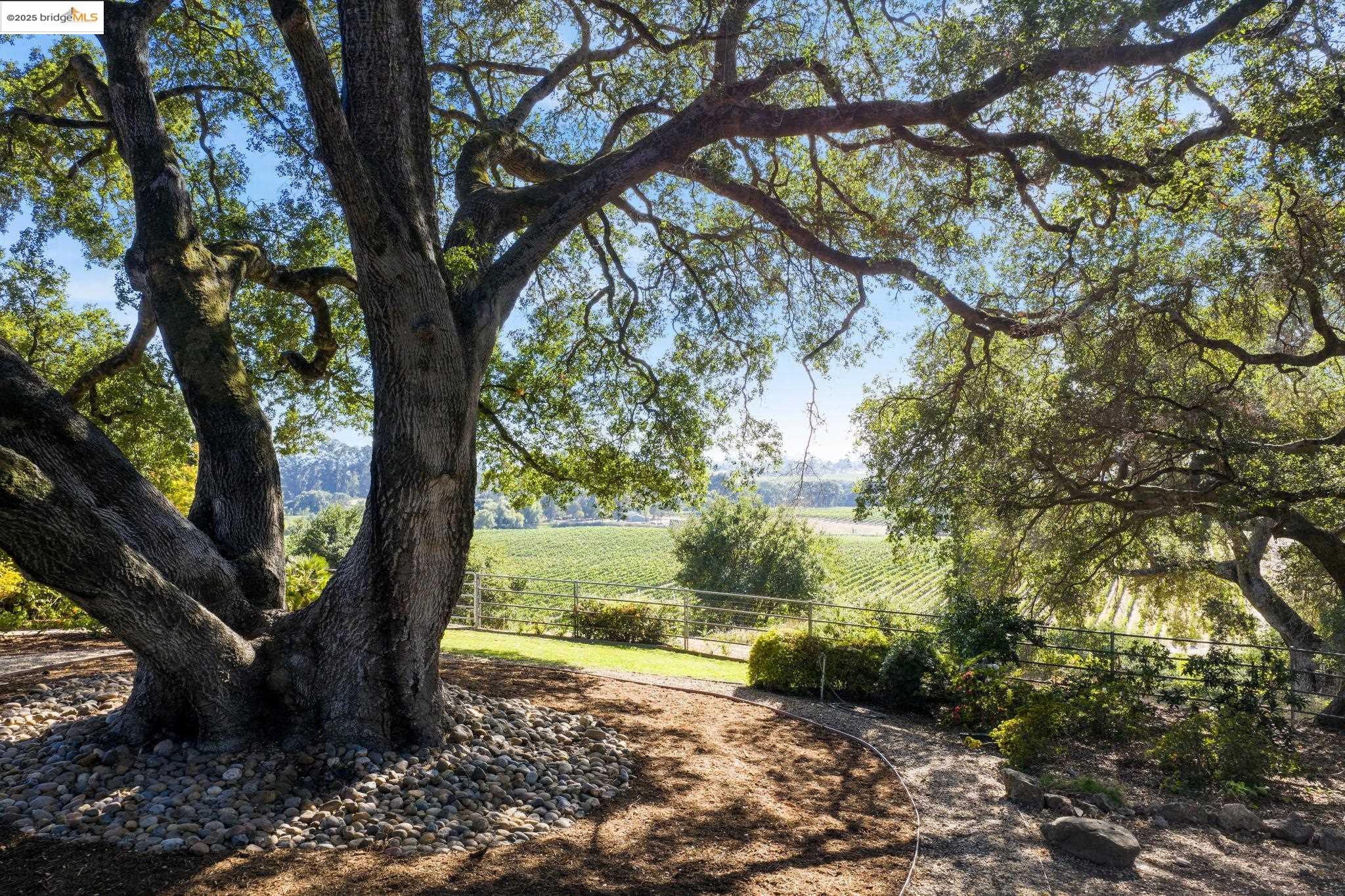 1531 Foster Road Napa, CA 94558 - Photo 45 of 57