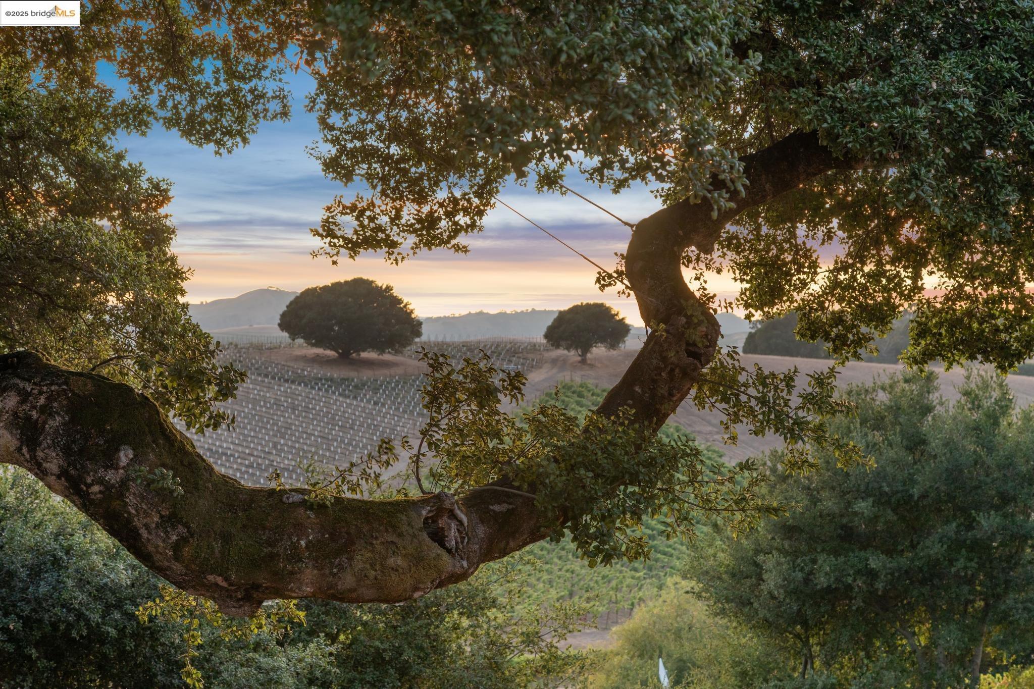 1531 Foster Road Napa, CA 94558 - Photo 55 of 57