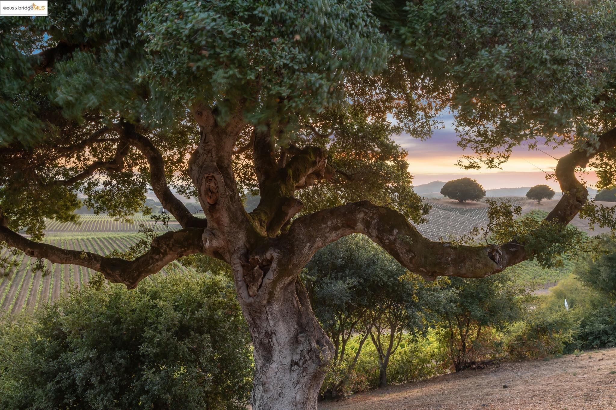 1531 Foster Road Napa, CA 94558 - Photo 56 of 57