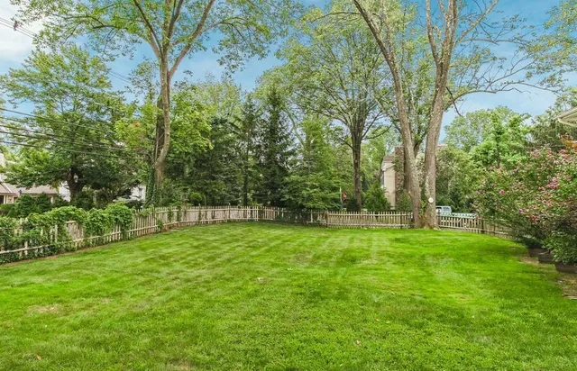 a view of a grassy field with trees in the background