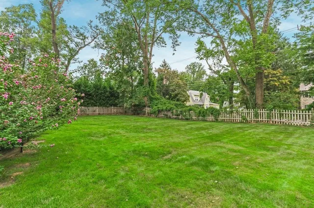 a view of a park with a tree