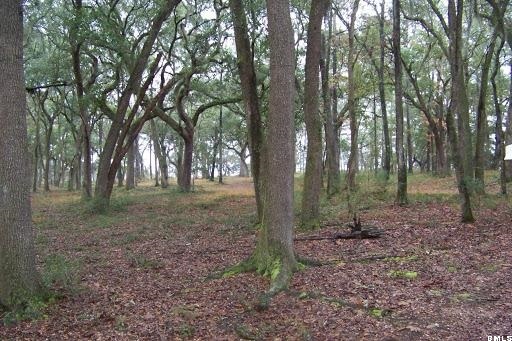 1 Rail Bed Road Seabrook, SC 29940 - Photo 3 of 15 Additional Photo